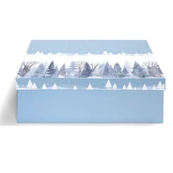 Gifi Boîte à cadeau rectangulaire 32x24xH11,2cm - 2 modèles^ Loisirs Créatifs Et Emballage Cadeau