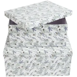 Gifi Boîte Noël design Jardin d'Hiver x2^ Loisirs Créatifs Et Emballage Cadeau