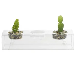 Clearance Gifi Centre de table plante grasse artificielle x2