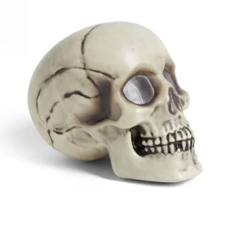 Online Gifi Crâne décoration Halloween 19x15xH16cm