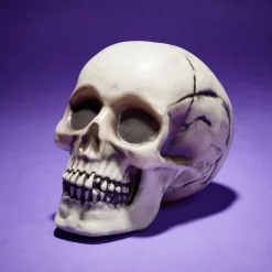 Online Gifi Crâne décoration Halloween 19x15xH16cm