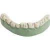 Best Gifi Dentier zombie vert et blanc