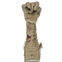 Best Gifi Main de momie animé