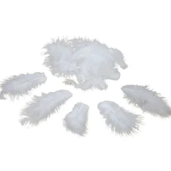 Online Gifi Mini plume blanche x35