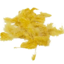 Online Gifi Mini plume dorée x35