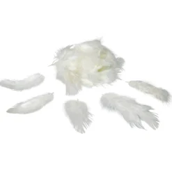 Outlet Gifi Mini plume ivoire x35