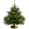 Gifi Sapin de Noël naturel Nordmann 175 cm