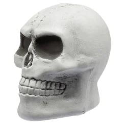 New Gifi Squelette à planter