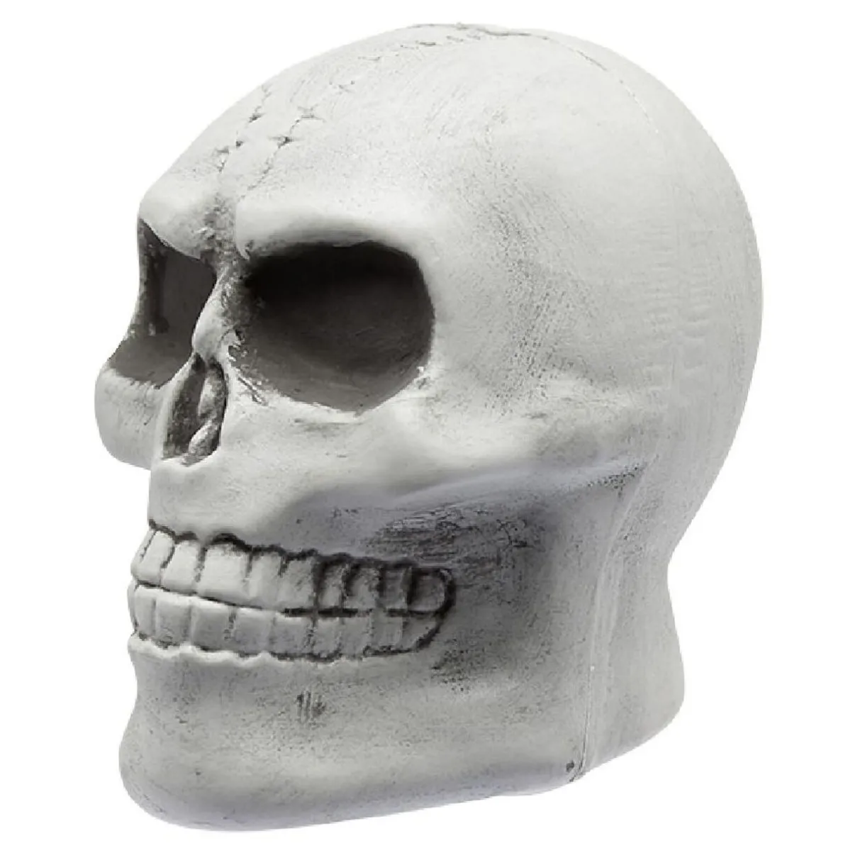 New Gifi Squelette à planter