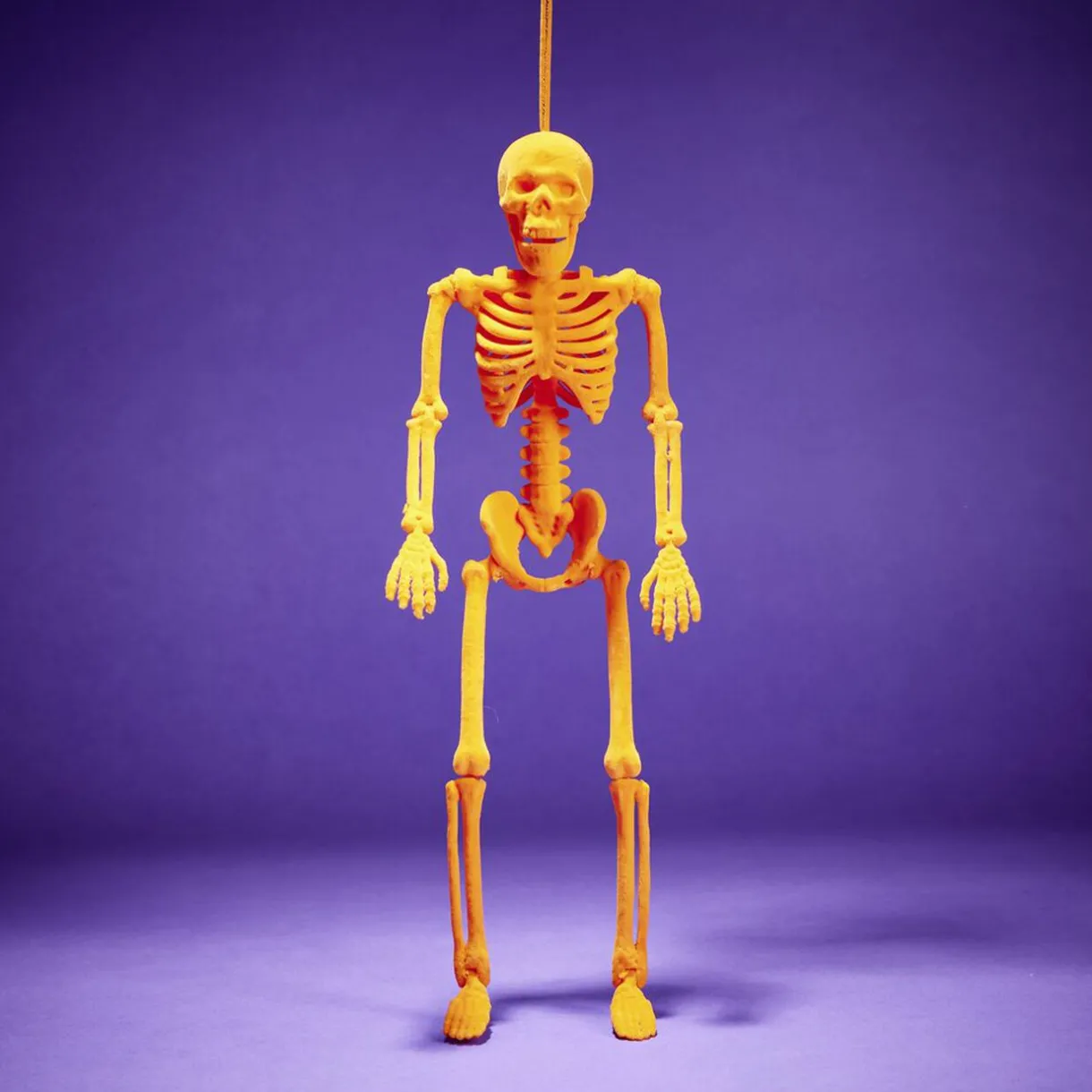 New Gifi Squelette à suspendre Halloween H40cm