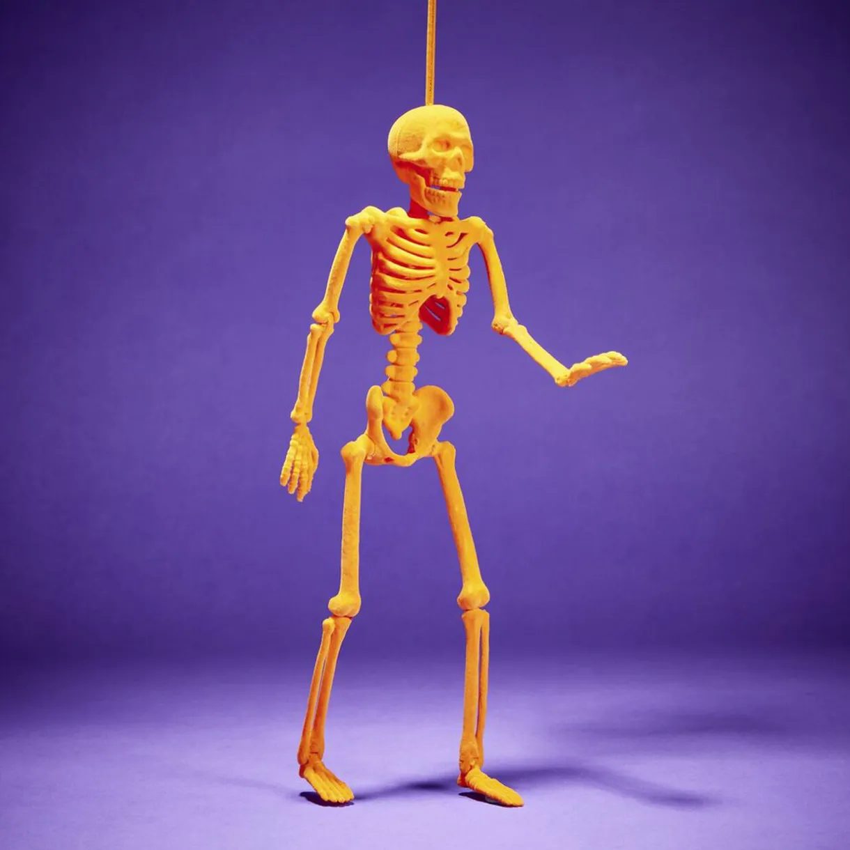 New Gifi Squelette à suspendre Halloween H40cm