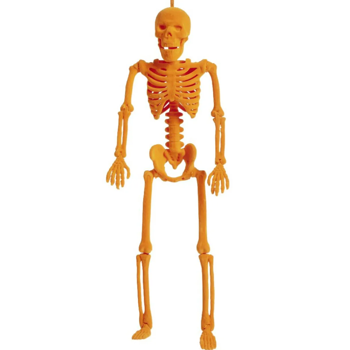 New Gifi Squelette à suspendre Halloween H40cm