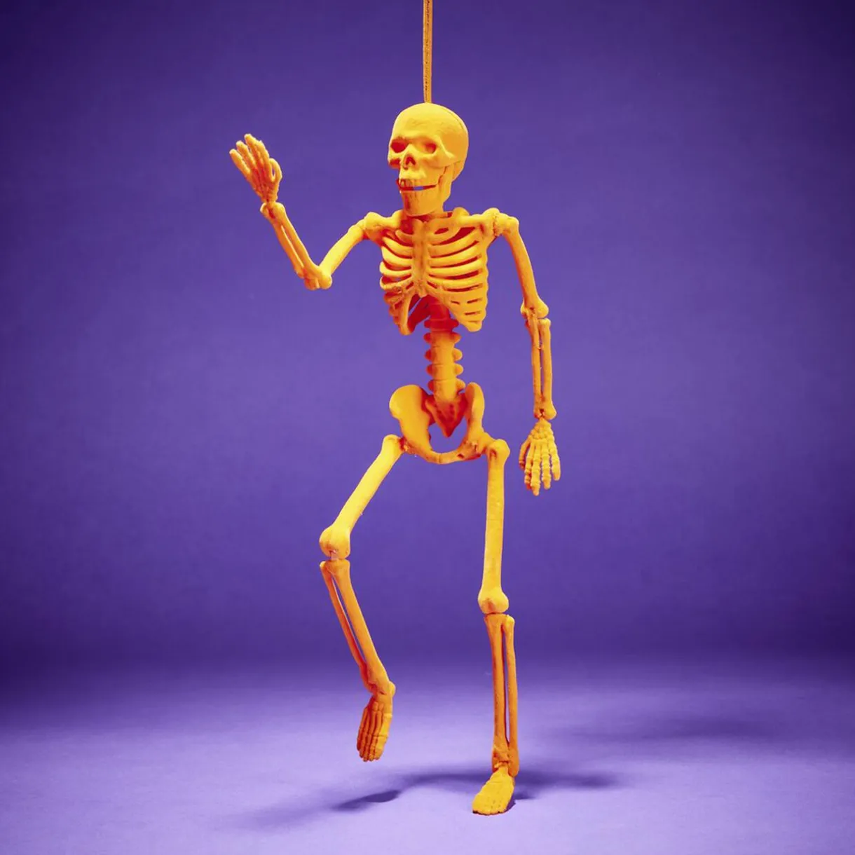 New Gifi Squelette à suspendre Halloween H40cm