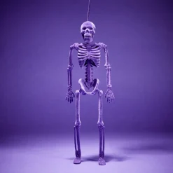 New Gifi Squelette à suspendre Halloween H40cm