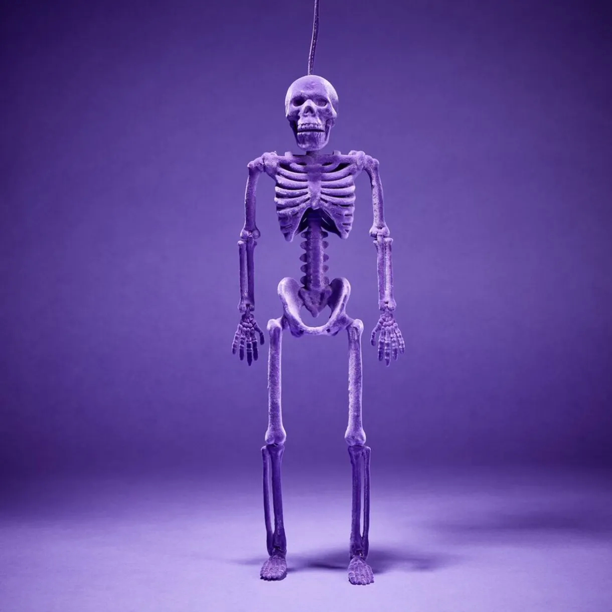 New Gifi Squelette à suspendre Halloween H40cm