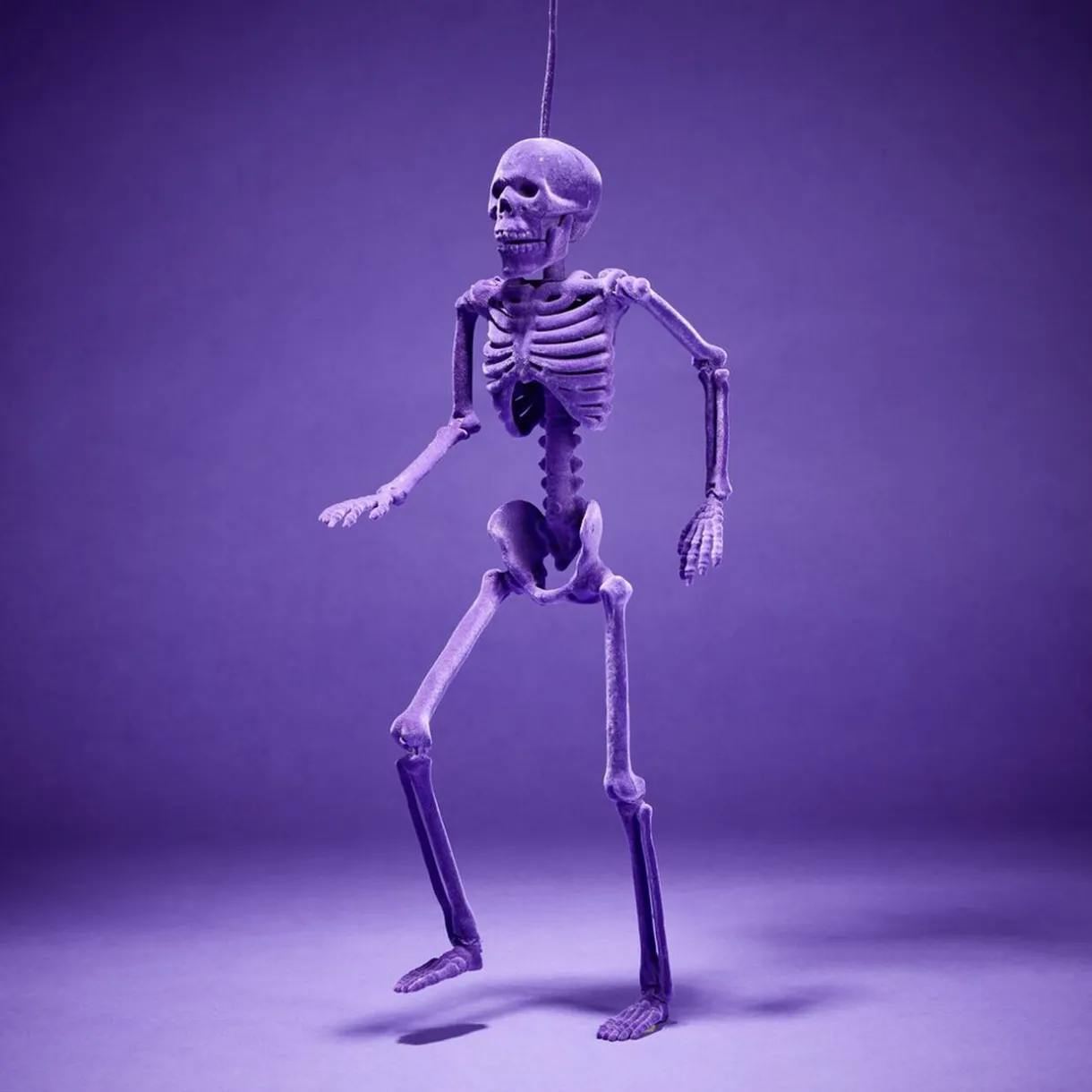 New Gifi Squelette à suspendre Halloween H40cm