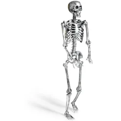 Sale Gifi Squelette articulé Halloween H150cm plastique argenté