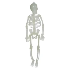Best Gifi Squelette phosphorescent