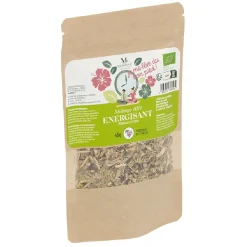 Gifi Thé énergisant maté hibiscus mélange Mességué Bio 45g