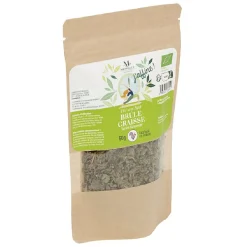 New Gifi Thé vert brûle graisse Mességué Bio 50g